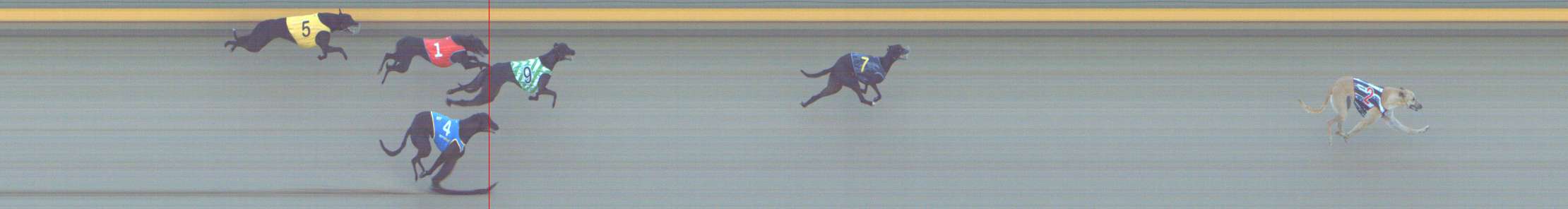 Photo finish for Shepparton Race 1
