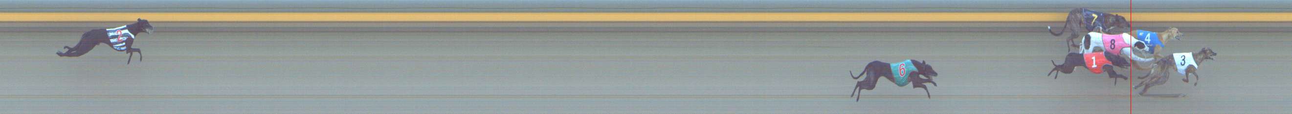 Photo finish for Shepparton Race 2