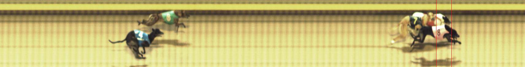 Photo finish for Shepparton Race 4