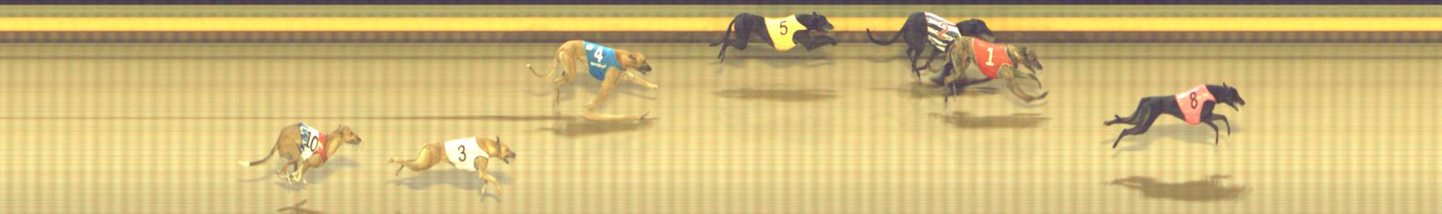 Photo finish for Shepparton Race 5