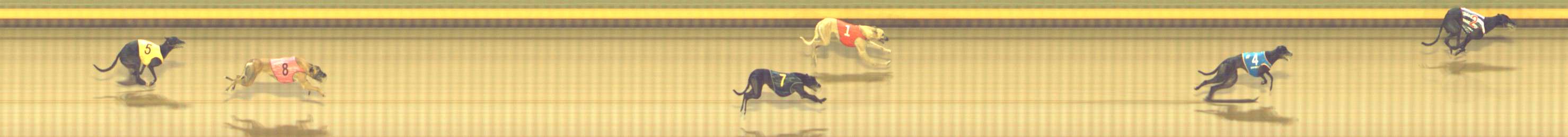 Photo finish for Shepparton Race 6