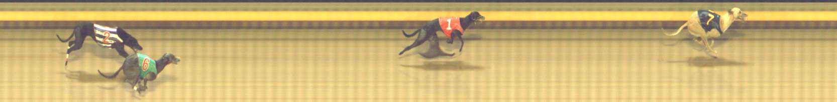 Photo finish for Shepparton Race 7