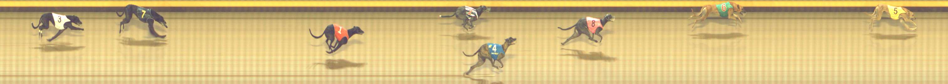 Photo finish for Shepparton Race 8