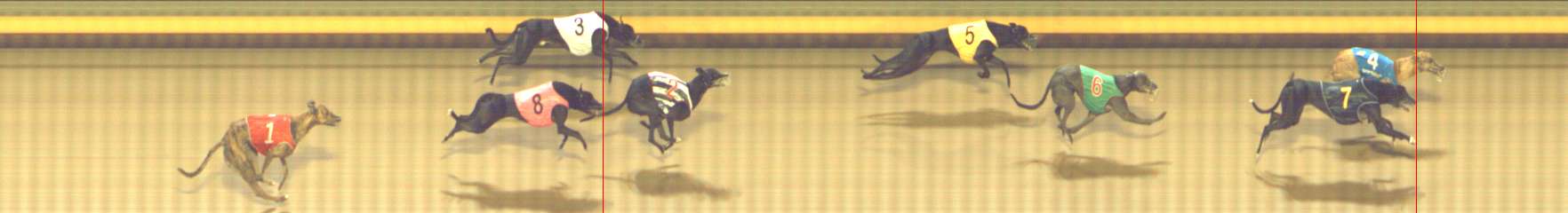 Photo finish for Shepparton Race 9