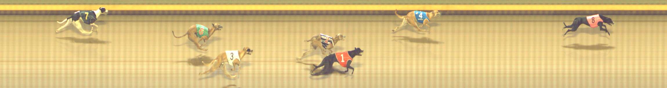 Photo finish for Shepparton Race 10