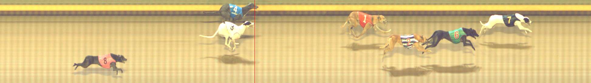 Photo finish for Shepparton Race 11