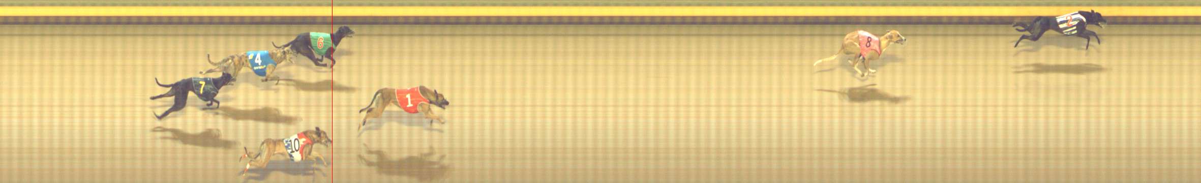 Photo finish for Shepparton Race 12