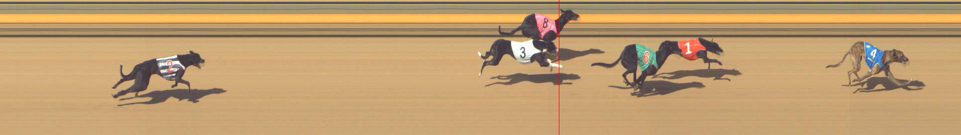 Photo finish for Shepparton Race 1