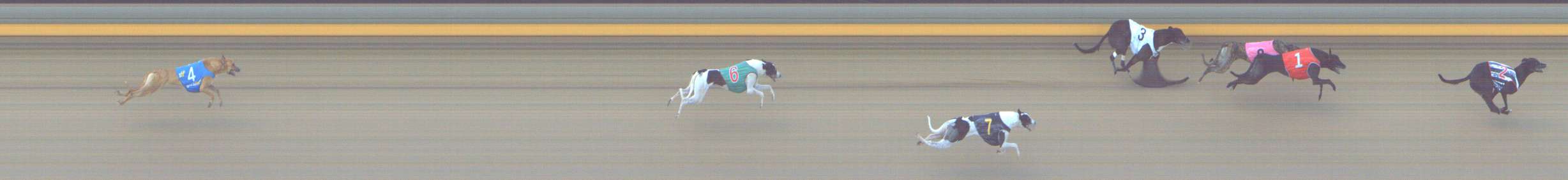 Photo finish for Shepparton Race 10