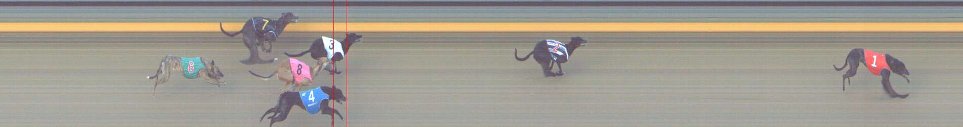 Photo finish for Shepparton Race 11