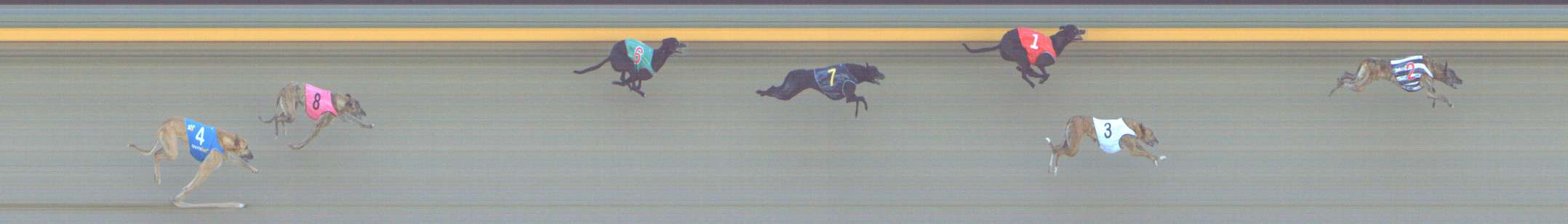 Photo finish for Shepparton Race 12
