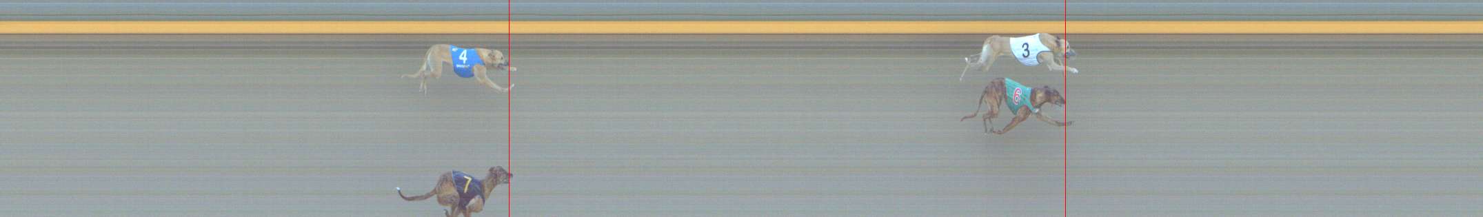 Photo finish for Shepparton Race 13