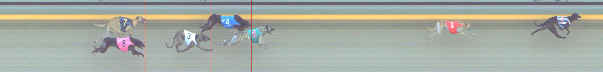 Photo finish for Shepparton Race 14