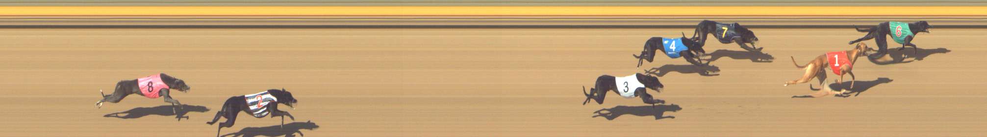 Photo finish for Shepparton Race 2