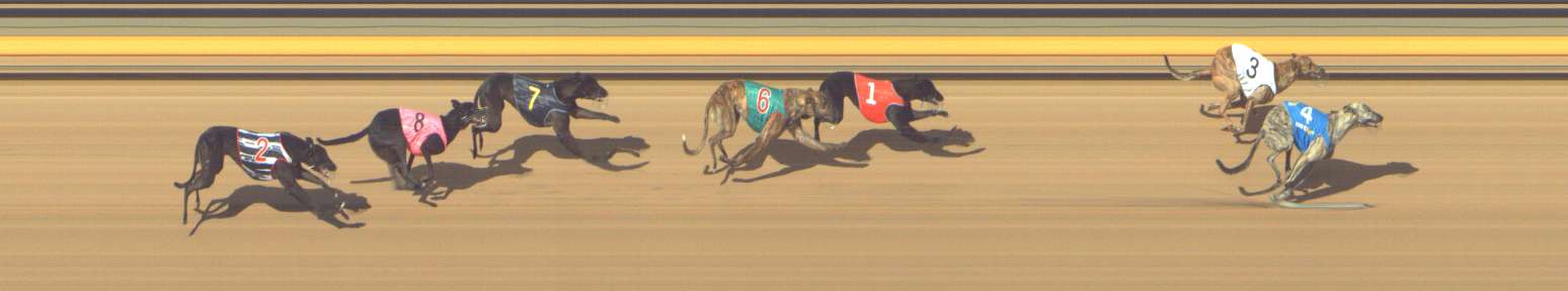 Photo finish for Shepparton Race 3