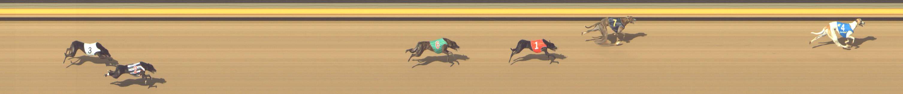 Photo finish for Shepparton Race 4
