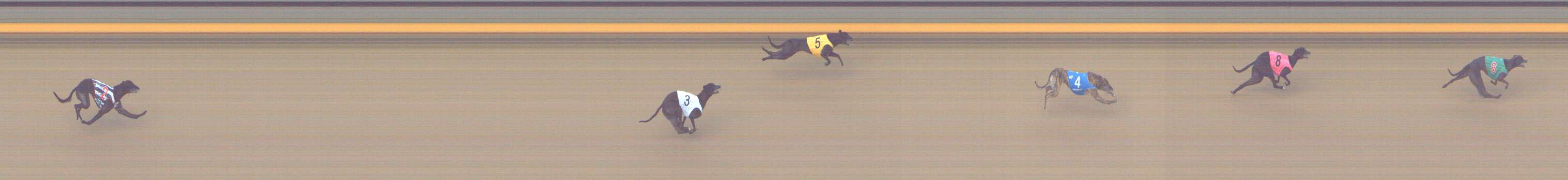 Photo finish for Shepparton Race 5