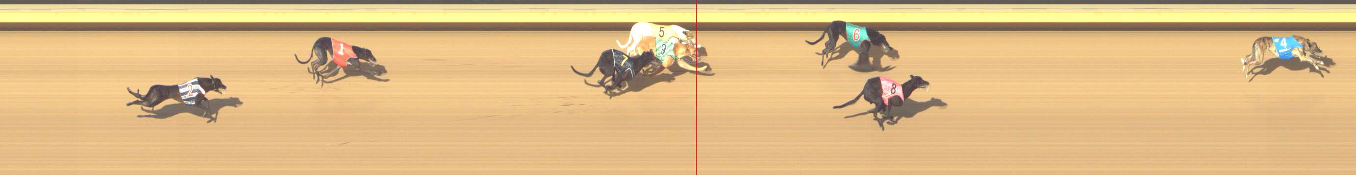 Photo finish for Shepparton Race 6