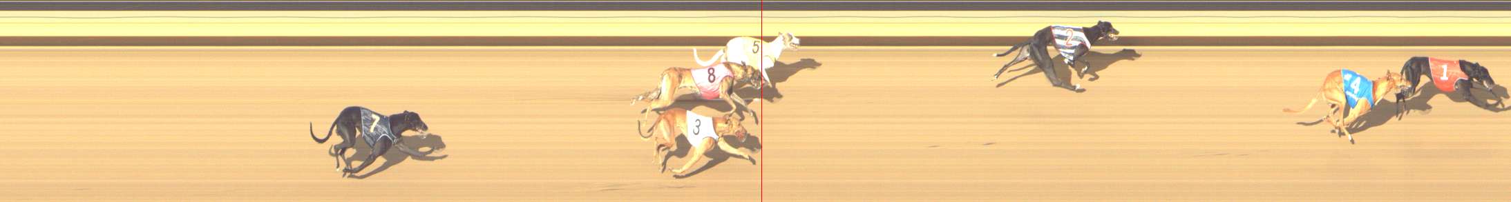 Photo finish for Shepparton Race 7