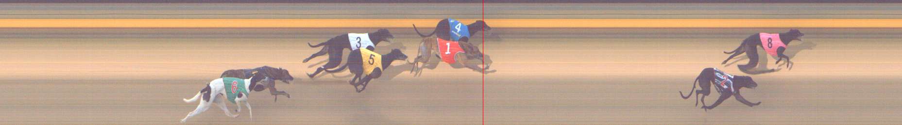 Photo finish for Shepparton Race 8