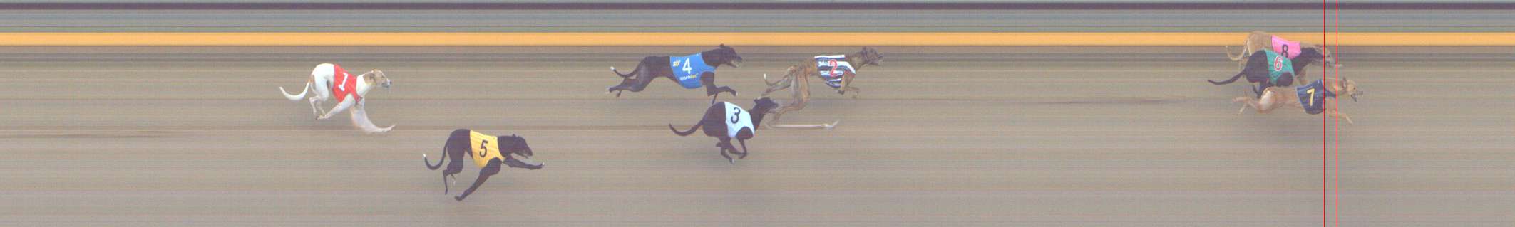 Photo finish for Shepparton Race 9