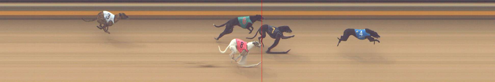 Photo finish for Shepparton Race 1