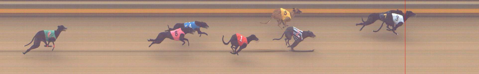 Photo finish for Shepparton Race 2