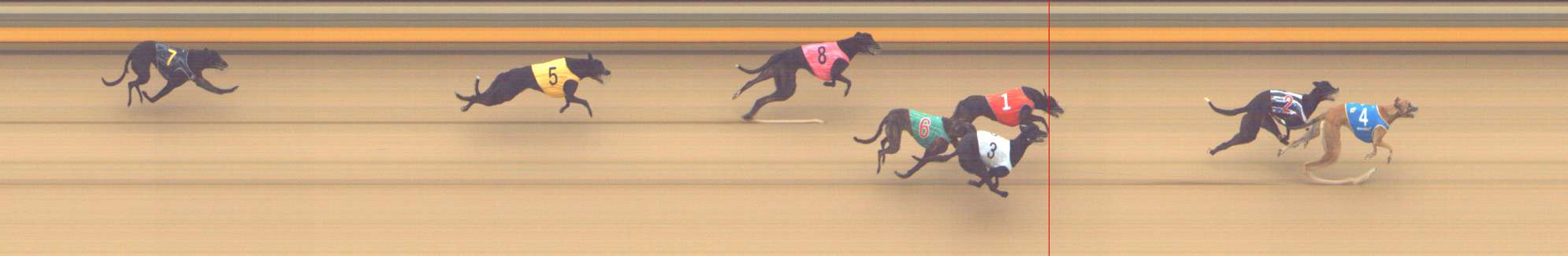 Photo finish for Shepparton Race 3