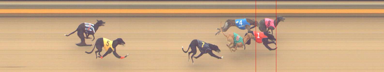 Photo finish for Shepparton Race 4