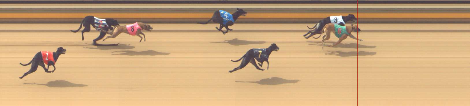 Photo finish for Shepparton Race 5