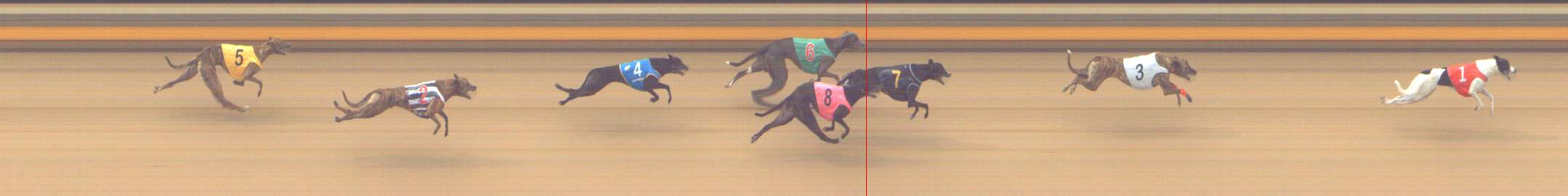 Photo finish for Shepparton Race 6