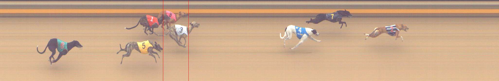 Photo finish for Shepparton Race 7