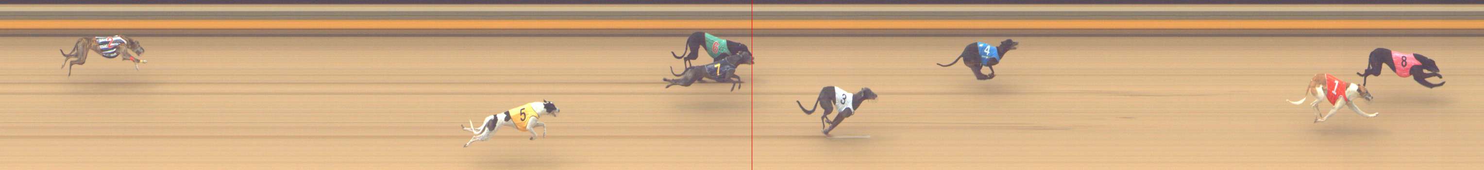 Photo finish for Shepparton Race 8