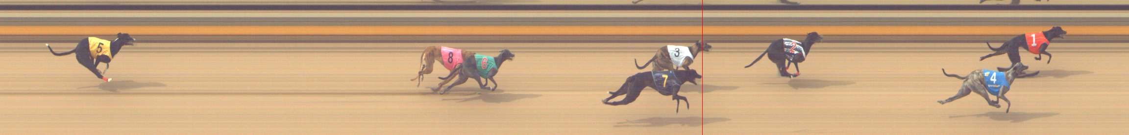 Photo finish for Shepparton Race 9