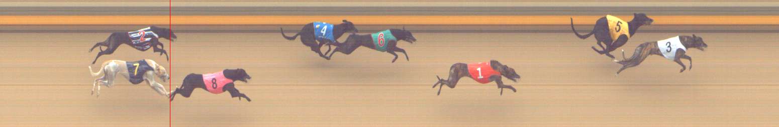 Photo finish for Shepparton Race 10