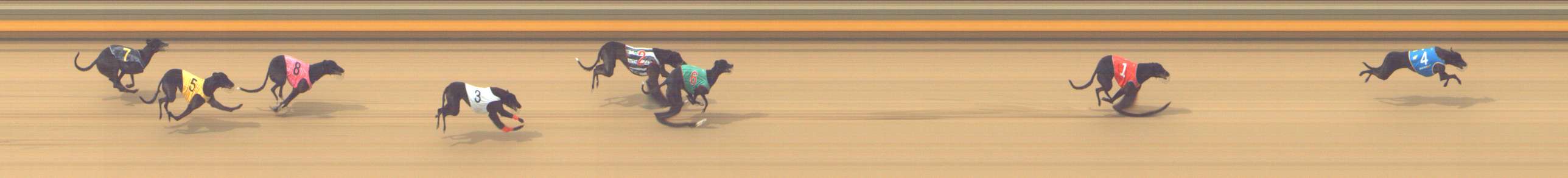 Photo finish for Shepparton Race 11
