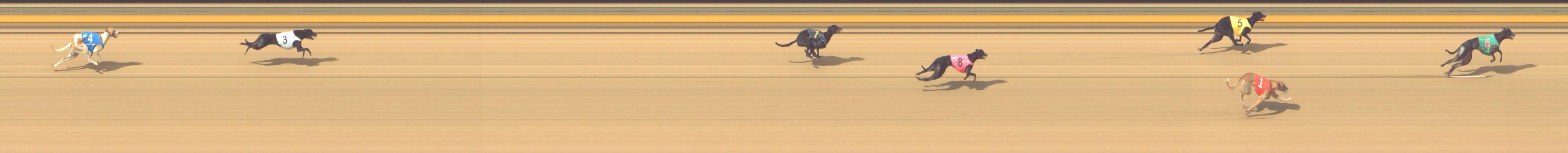 Photo finish for Shepparton Race 13