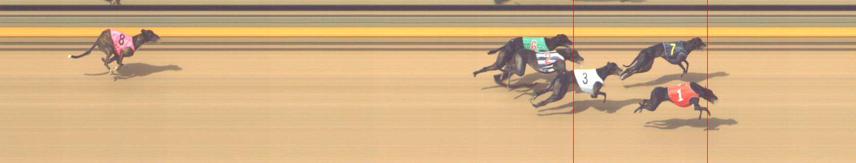 Photo finish for Shepparton Race 14