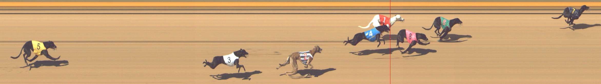 Photo finish for Shepparton Race 1