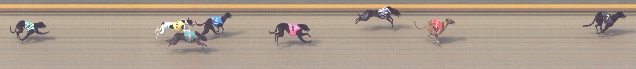 Photo finish for Shepparton Race 2