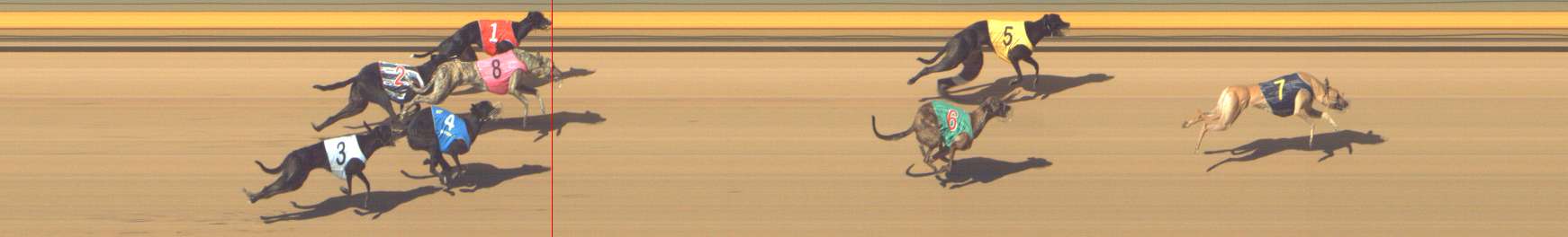 Photo finish for Shepparton Race 3
