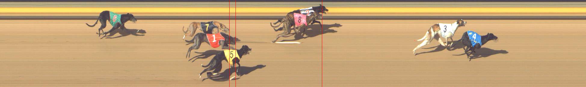 Photo finish for Shepparton Race 4