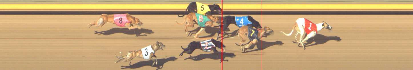 Photo finish for Shepparton Race 5