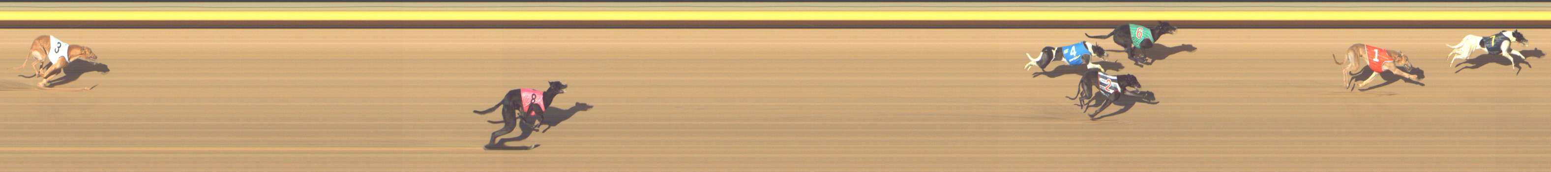 Photo finish for Shepparton Race 6