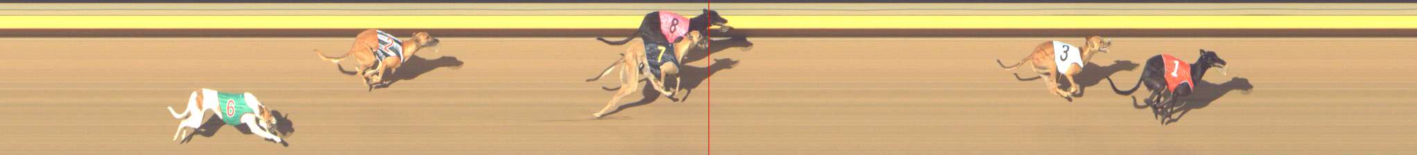 Photo finish for Shepparton Race 7