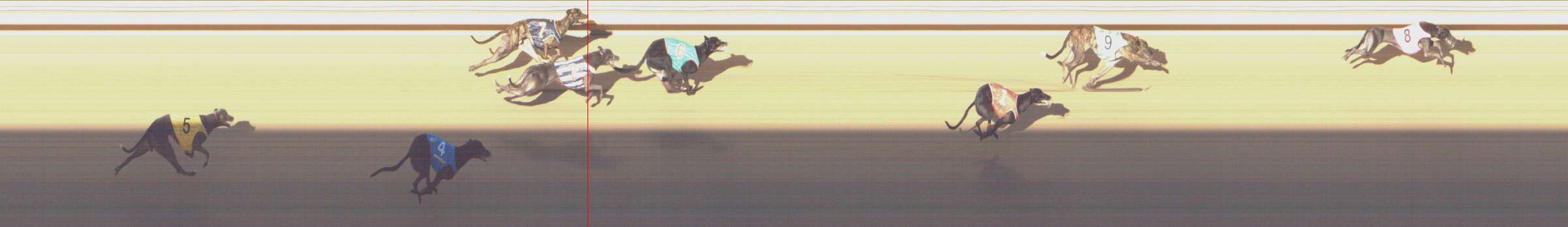 Photo finish for Shepparton Race 8