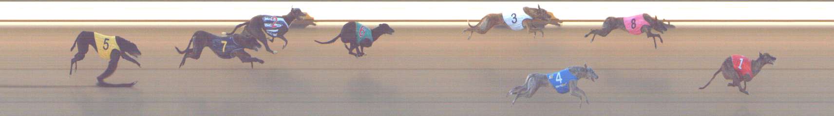 Photo finish for Shepparton Race 9
