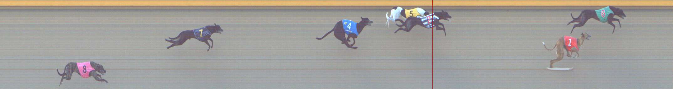 Photo finish for Shepparton Race 10