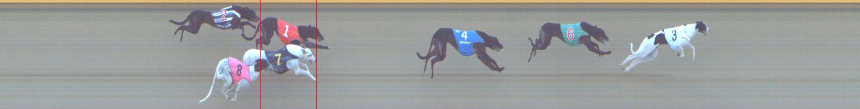 Photo finish for Shepparton Race 11