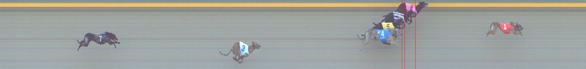 Photo finish for Shepparton Race 12